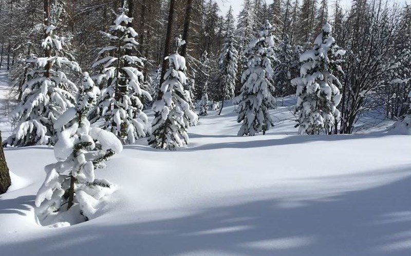 Parc aux Etoiles Location Parc aux Etoiles à PUY ST VINCENT
