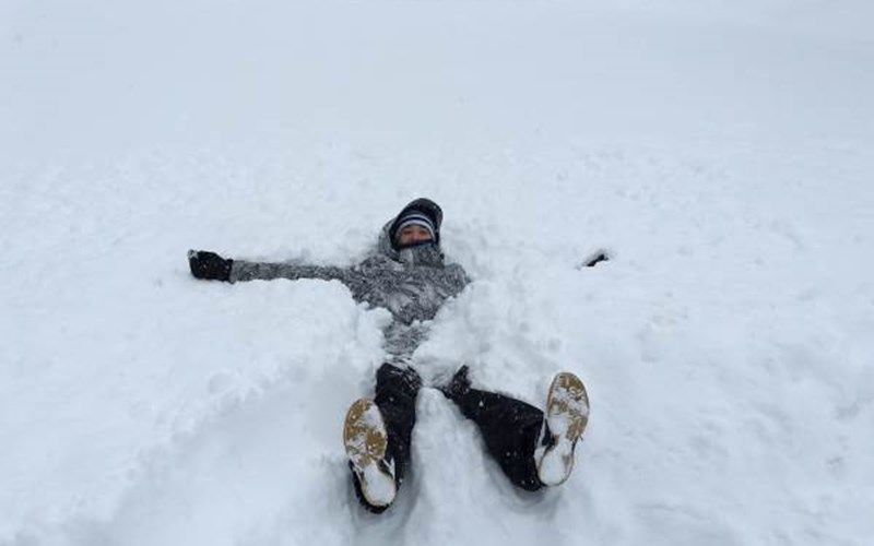Parc aux Etoiles Location Parc aux Etoiles à PUY ST VINCENT