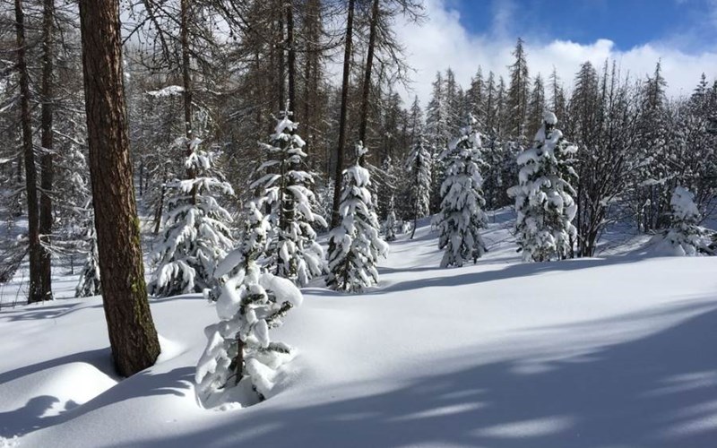 Parc aux Etoiles Location Parc aux Etoiles à PUY ST VINCENT