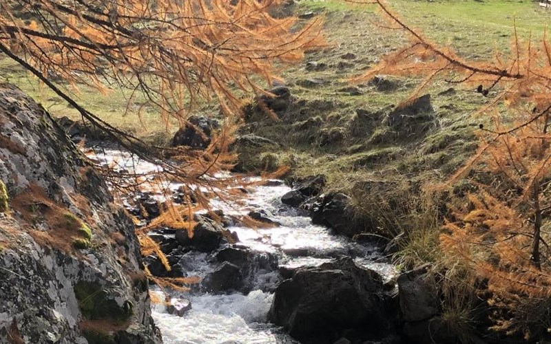Parc aux Etoiles Location Parc aux Etoiles à PUY ST VINCENT