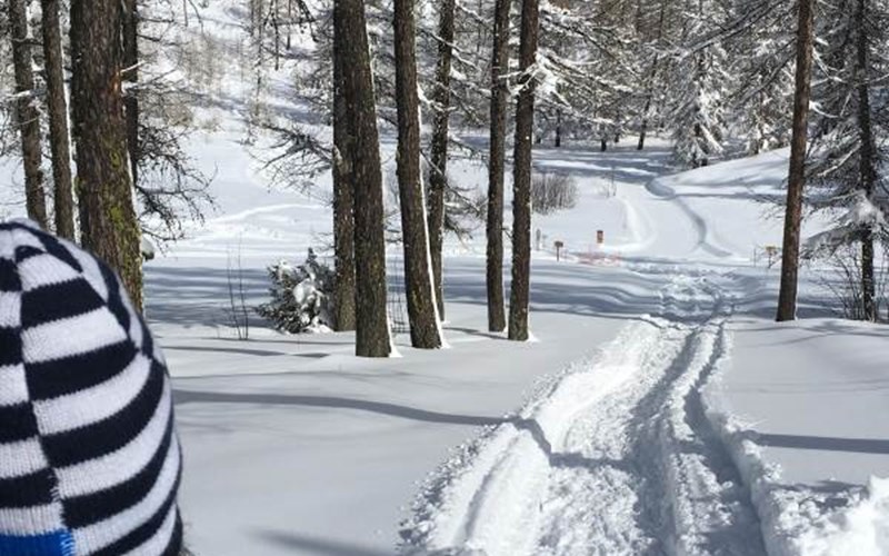 Parc aux Etoiles Location Parc aux Etoiles à PUY ST VINCENT