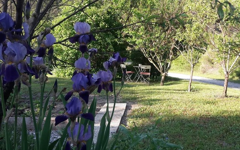 L'estive Location L'estive à CHANOUSSE