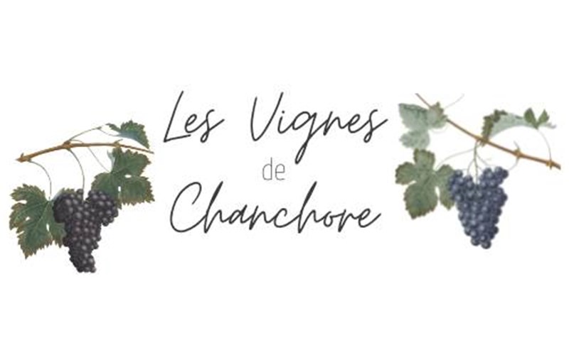 Location Les Vignes de Chanchore N°6 à ST SAUVEUR