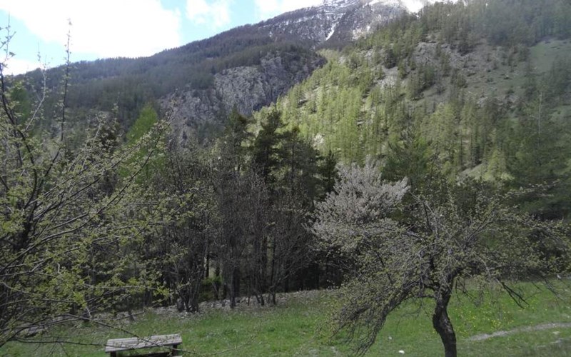 La Cabane de Sachas Location La Cabane de Sachas à PUY ST ANDRE