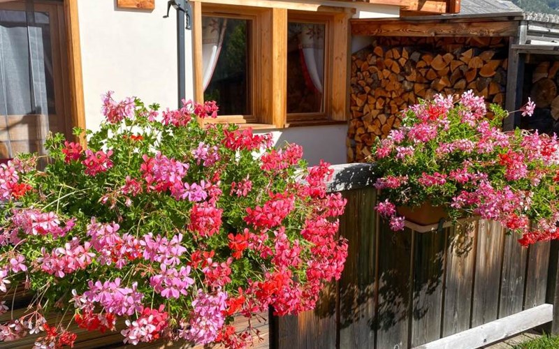 Le Bellety Location Le Bellety à NEVACHE