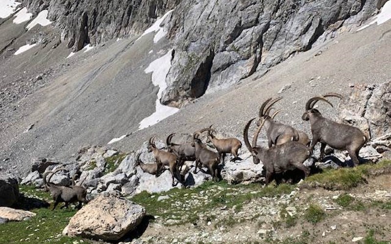 La Moulinière 2 Location La Moulinière 2 à NEVACHE