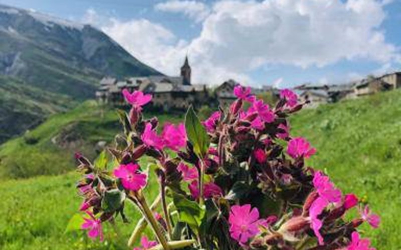 Le chalet de la Meije  Location Le chalet de la Meije  à LA GRAVE