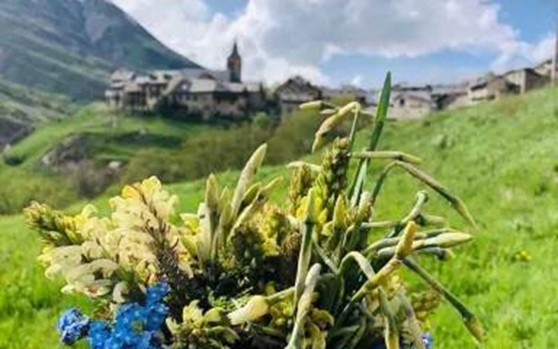 Le chalet de la Meije  Location Le chalet de la Meije  à LA GRAVE