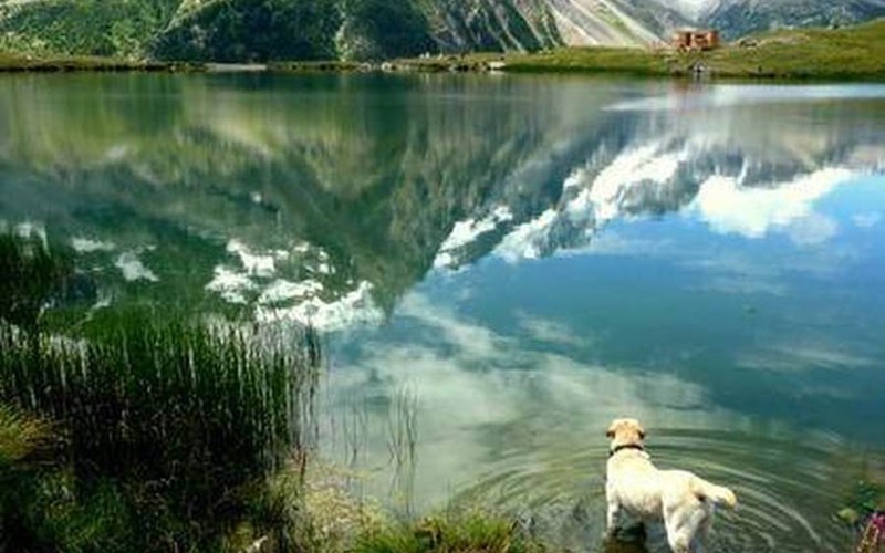 L'Eterlou Location L'Eterlou à LA GRAVE