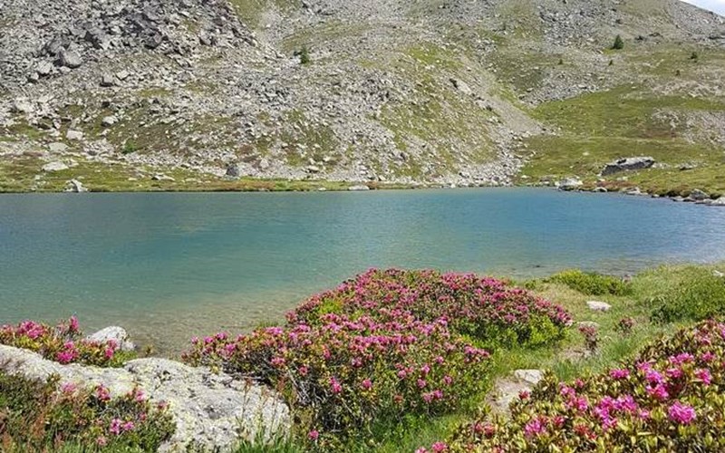 La Challanche Location La Challanche à NEVACHE