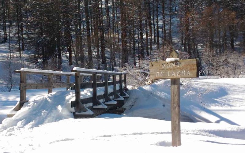 Location La Moulinière 1 à NEVACHE