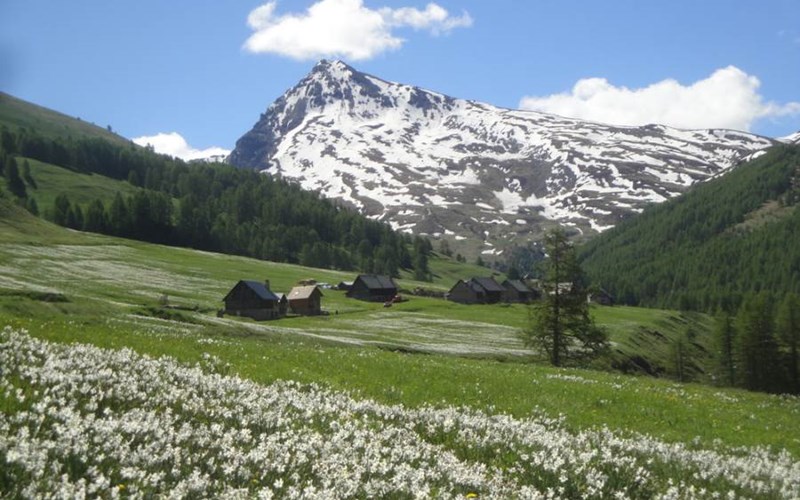 Studio Le Lasseron Location Studio Le Lasseron à CERVIERES