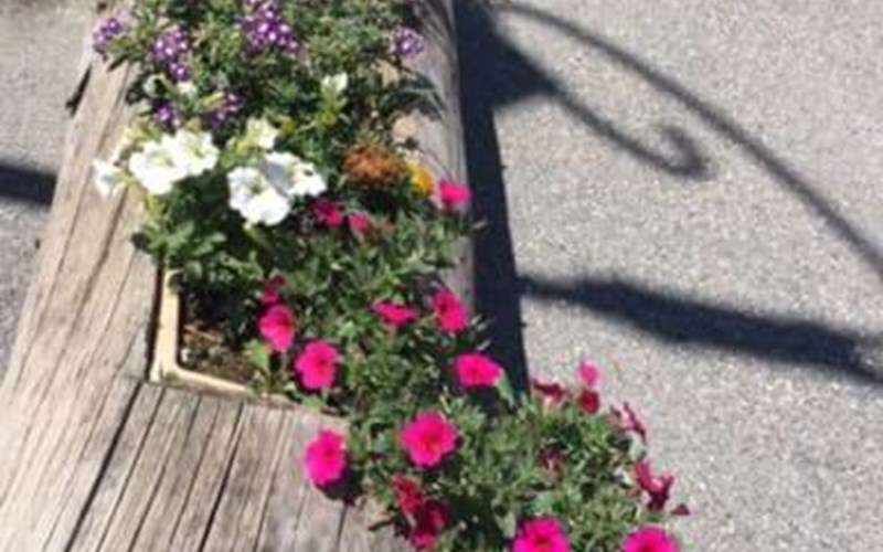 Le Fruit Sauvage Location Le Fruit Sauvage à NEVACHE