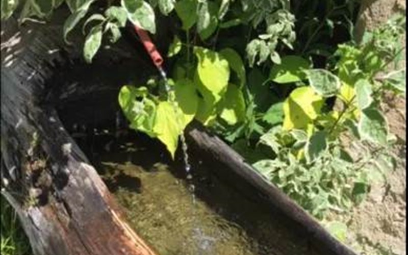 Le Fruit Sauvage Location Le Fruit Sauvage à NEVACHE