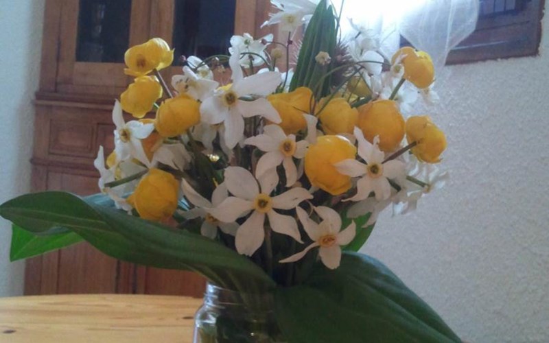 Les Béraudes II Location Les Béraudes II à NEVACHE