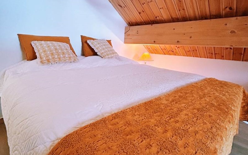 Edelweiss du Cros T4 Location Edelweiss du Cros T4 à NEVACHE