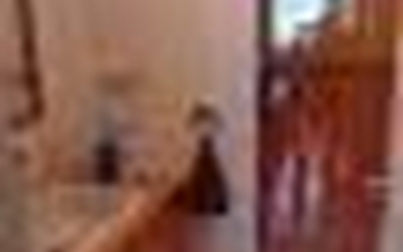 Chalet Maramu Location Chalet Maramu à PUY ST PIERRE