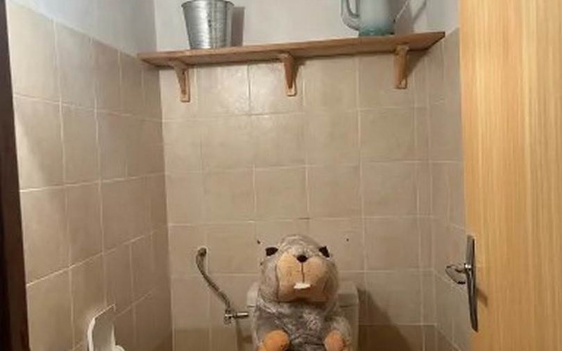 Les Thûres - Peraldi Laetitia Location Les Thûres - Peraldi Laetitia à NEVACHE