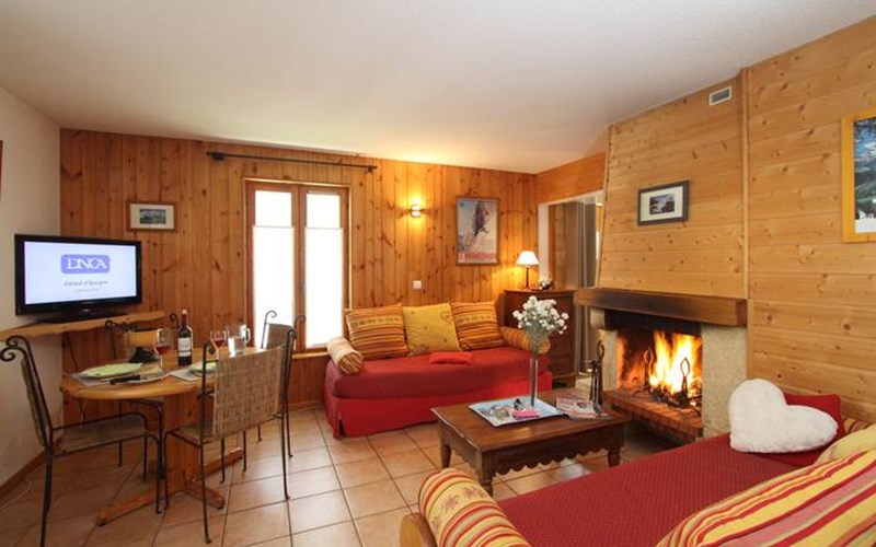 Panoramic-Village Location Panoramic-Village à LA GRAVE