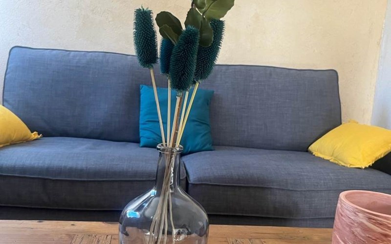 Gîtes du Saro 4* Location Gîtes du Saro 4* à CHABESTAN