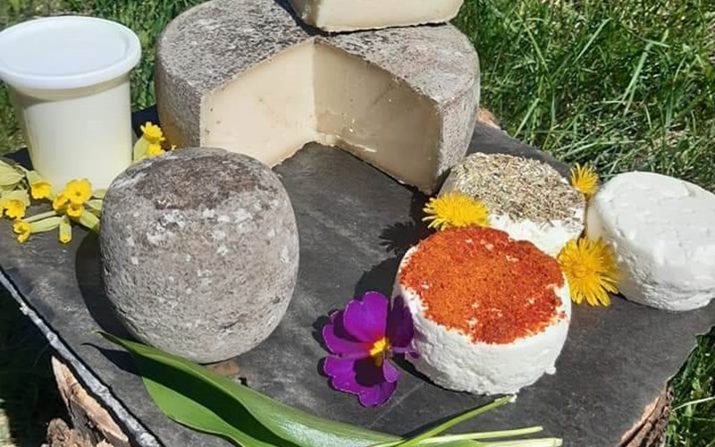 Morgon Location Morgon à CROTS