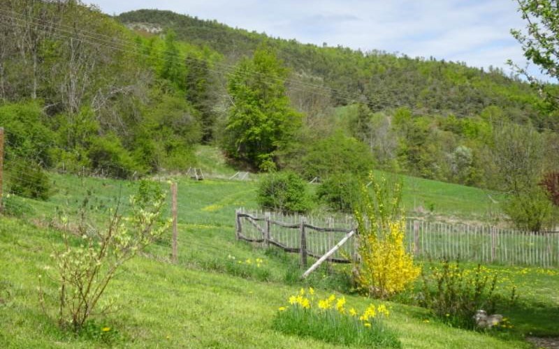L'Arnica Location  L'Arnica à UBAYE SERRE PONCON