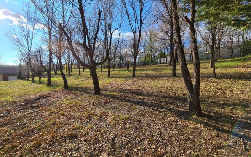 Le Piolit Location Le Piolit à PRUNIERES