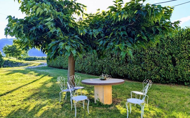 Gîte du Grand Chêne Location Gîte du Grand Chêne à VAL BUECH MEOUGE