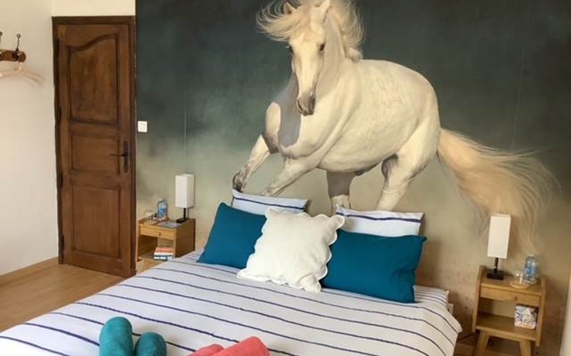 LE CHEVAL BLANC Location LE CHEVAL BLANC à SERRES