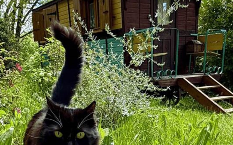 LE MAS DU FIGUIER Location LE MAS DU FIGUIER à BEVONS