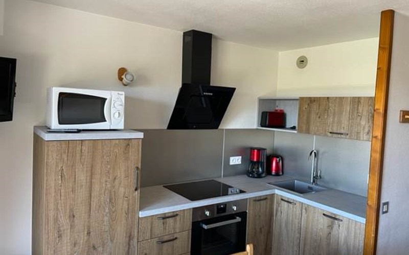 Les Ecrins Location Les Ecrins à ANCELLE