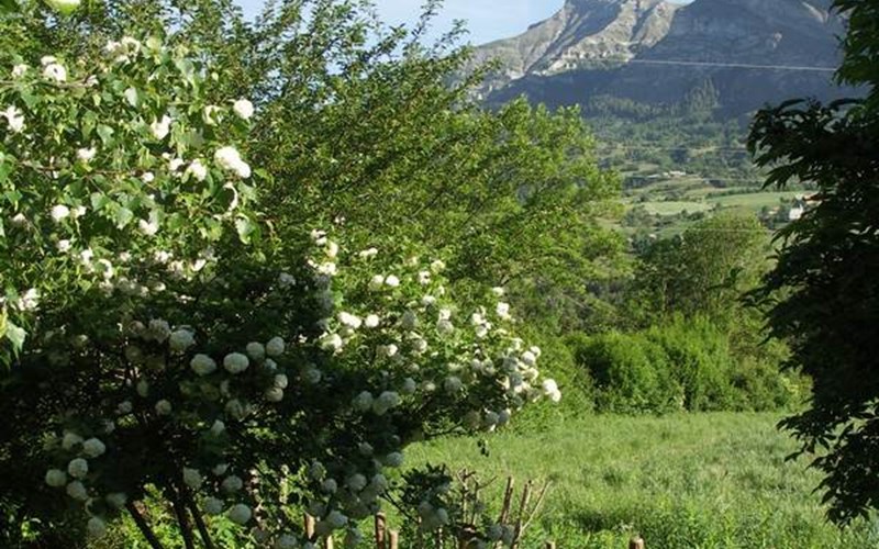 Chez A-Marie Location Chez A-Marie à ST JEAN ST NICOLAS