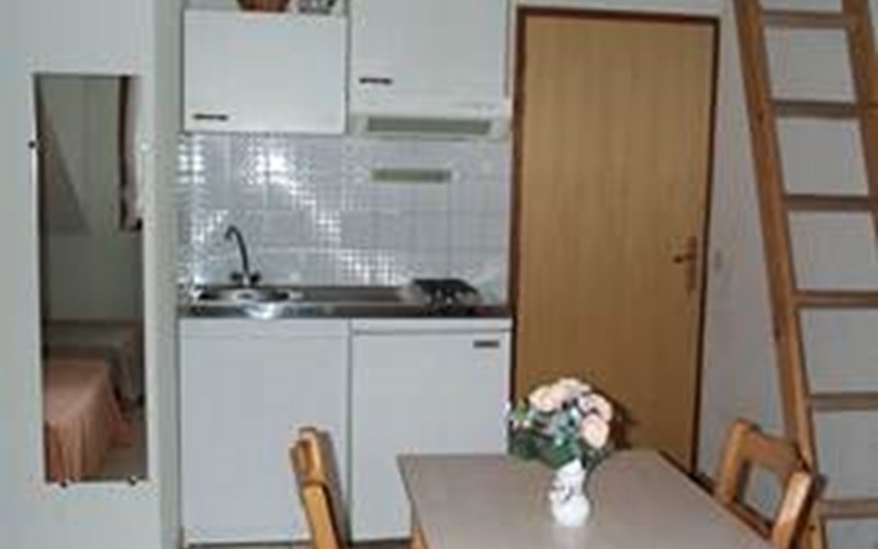 LES AUCHES Location LES AUCHES à ANCELLE