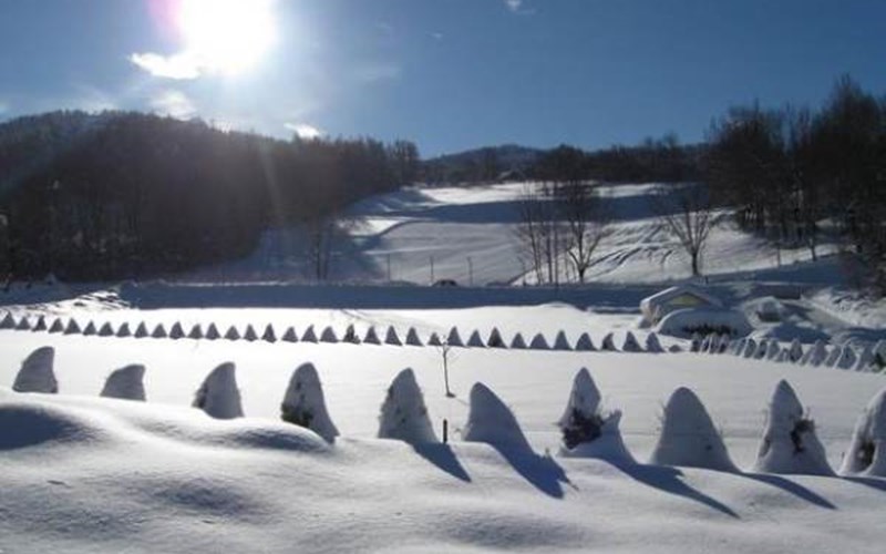 Chalet  Location Chalet  à ANCELLE