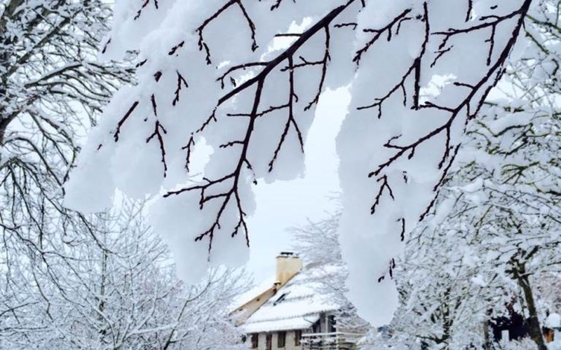 LA GRANGE DES ECRINS Location LA GRANGE DES ECRINS à CHABOTTES