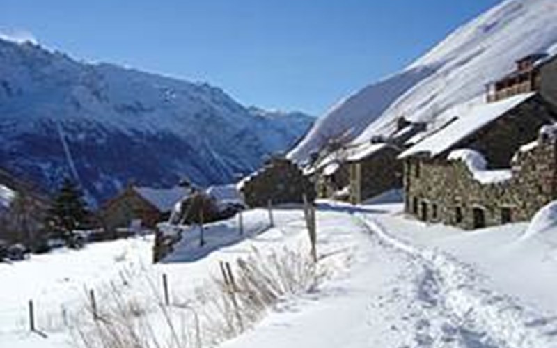 LE SABOT DE VENUS  Location LE SABOT DE VENUS  à LA GRAVE