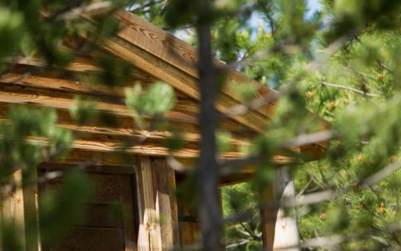 Terre des Baronnies Location Terre des Baronnies à RIBEYRET