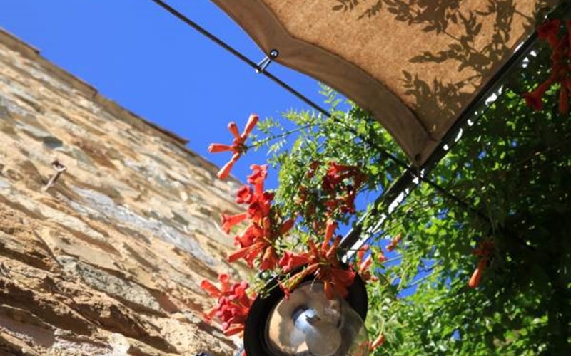 Terre des Baronnies Location Terre des Baronnies à RIBEYRET