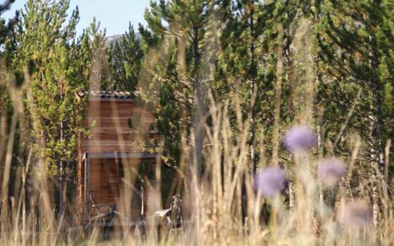 Terre des Baronnies Location Terre des Baronnies à RIBEYRET