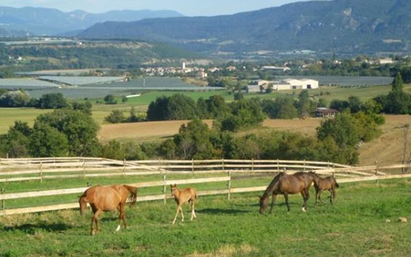 Chambre d'hôtes " Ecuries Le Peyron" Location Chambre d'hôtes " Ecuries Le Peyron" à RIBIERS