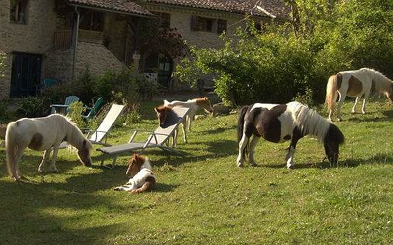 GITE du Hameau de Villauret "Le Pounti" Location GITE du Hameau de Villauret "Le Pounti" à ST AUBAN D OZE
