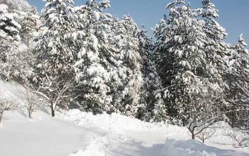 Hyspanite Location Hyspanite à VEYNES