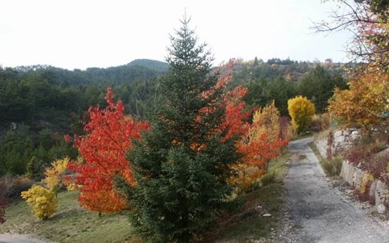Hyspanite Location Hyspanite à VEYNES