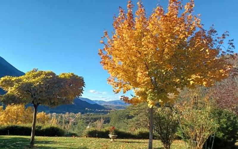 Hyspanite Location Hyspanite à VEYNES