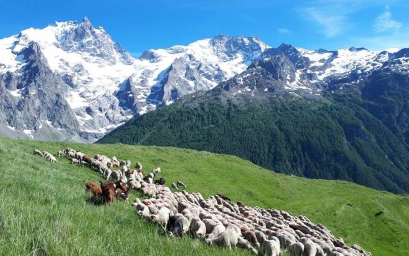 chalet Le Gypaète Location chalet Le Gypaète à LA GRAVE