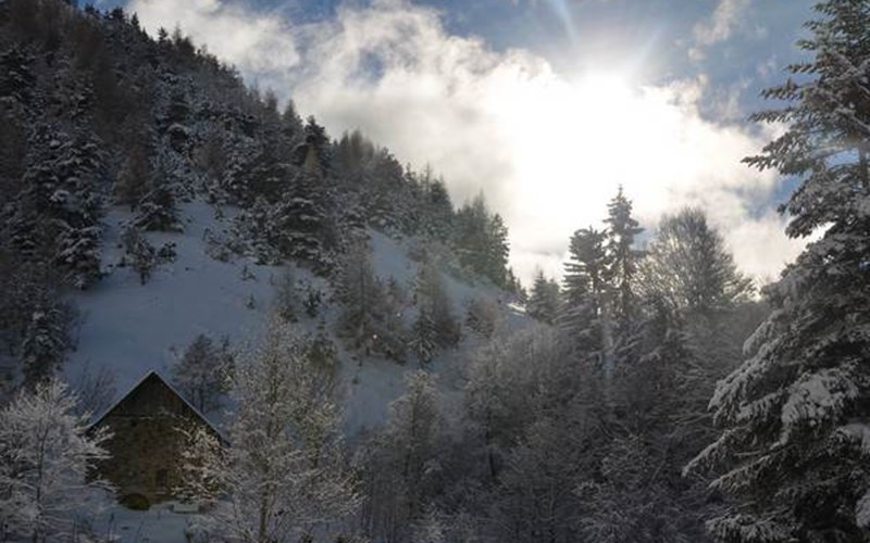 L'Ecrin du Champsaur Location L'Ecrin du Champsaur à ST BONNET EN CHAMPSAUR