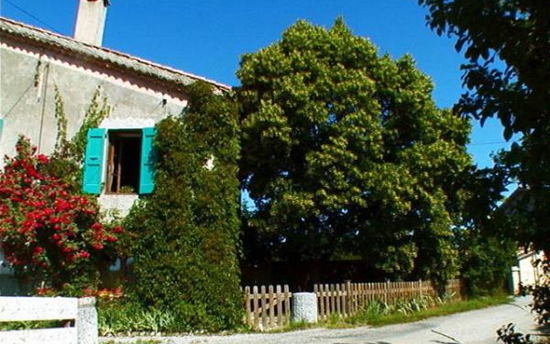 Gîte de Lachau Location Gîte de Lachau à LA BATIE MONTSALEON