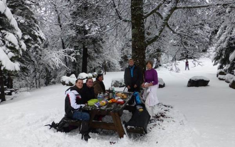 Location Les Cariamas à CHATEAUROUX LES ALPES