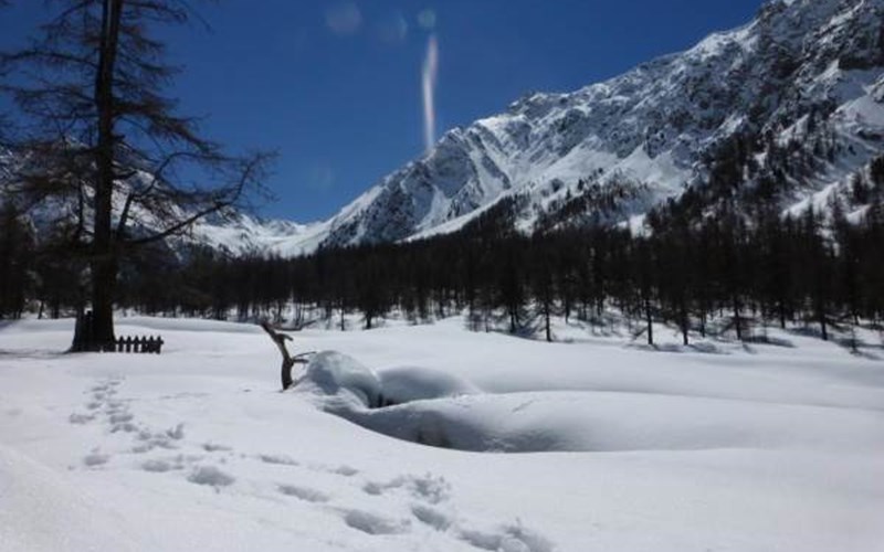 Les Cariamas Location Les Cariamas à CHATEAUROUX LES ALPES