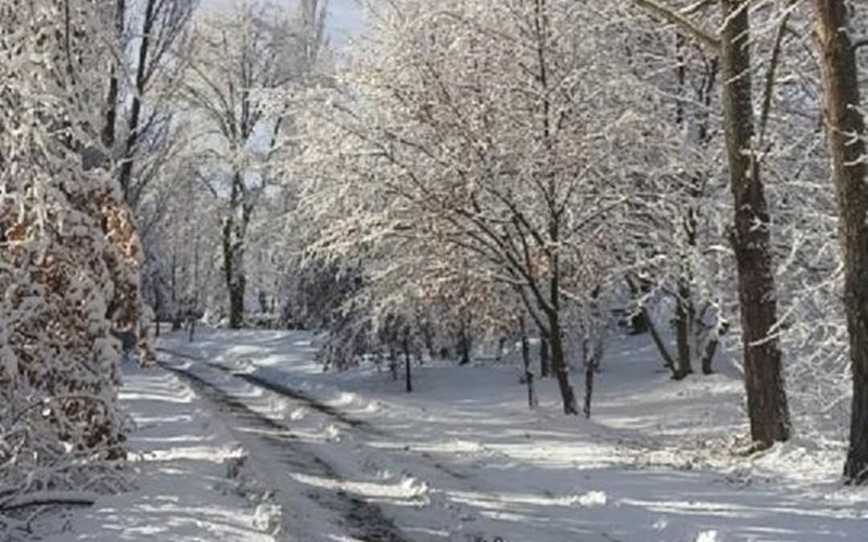 Les Cariamas Location Les Cariamas à CHATEAUROUX LES ALPES